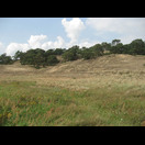 Binnendünen bei Klein Schmölen